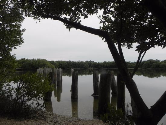 Cedar Key Railroad Trestle Nature Trail