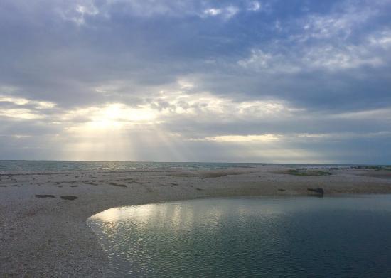 Ten Thousand Islands Nwr