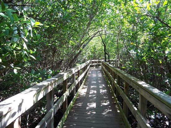 Ponce de Leon Park