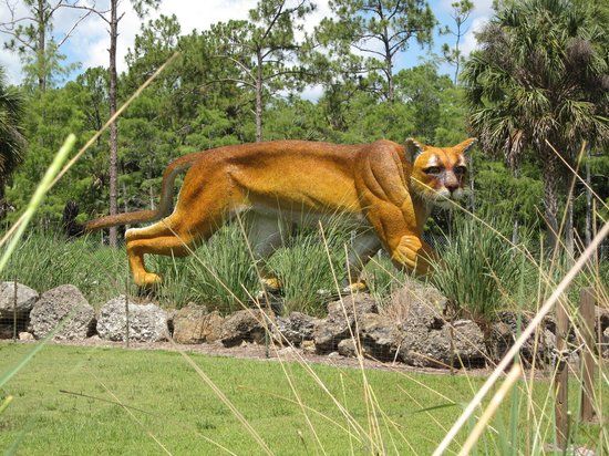 Skunk Ape Research Center
