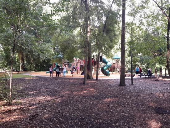 Maitland Community Park