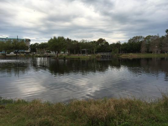 Ted Phillips Wood Ibis Park