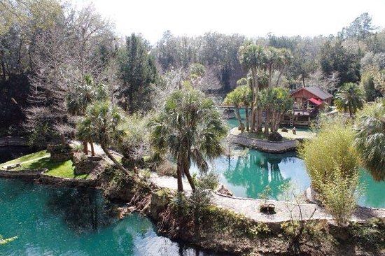 Cedar Lakes Woods and Gardens