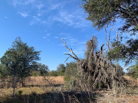Brooker Creek Headwaters Nature Preserve