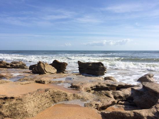 River to Sea Preserve