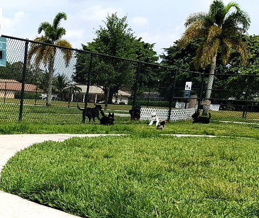 Gary B. Jones Park for People and Pups