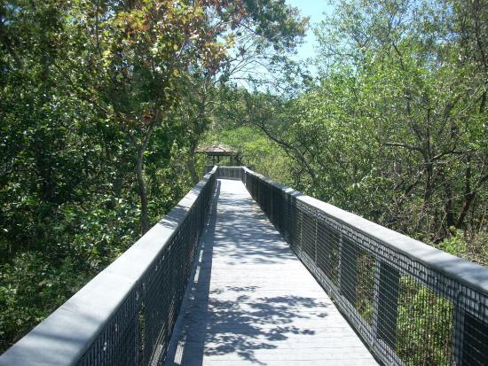 Tall Cypress Natural Area