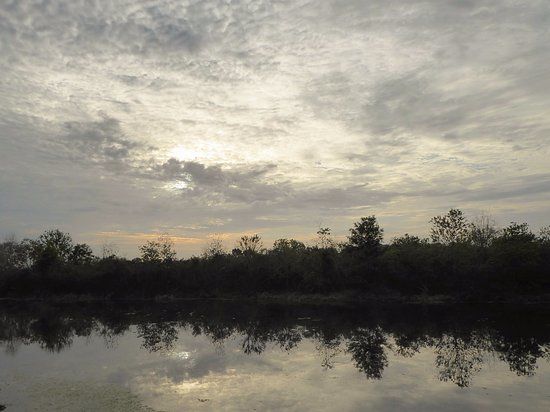 Pine Meadows Conservation Area