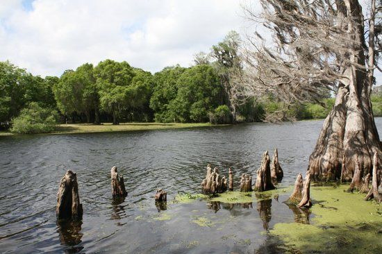 Lettuce Lake Park