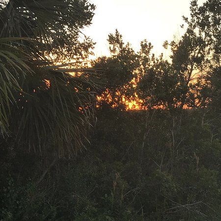 Gina's Cafe In The Park