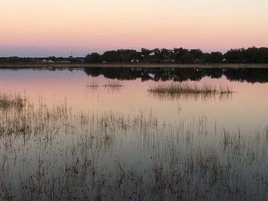 Sharon Rose Wiechens Preserve