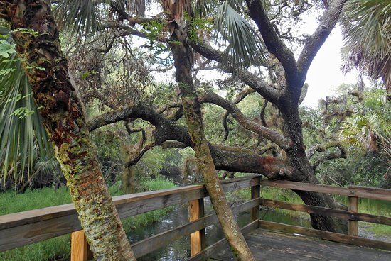 Myakkahatchee Creek Environmental Park