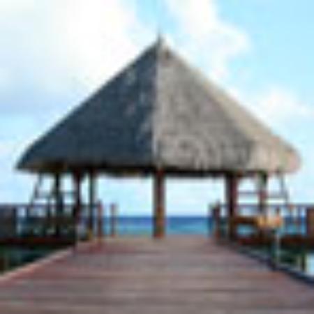 C B's Caribbean Spot