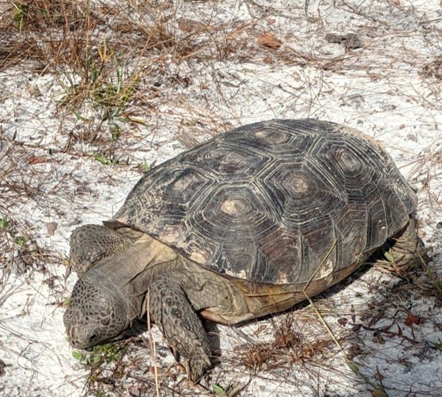 Shamrock Park Nature Center