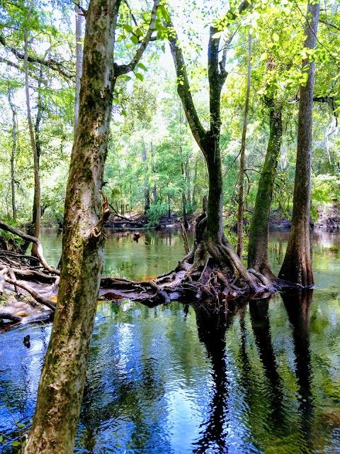 O'Leno State Park & River Rise