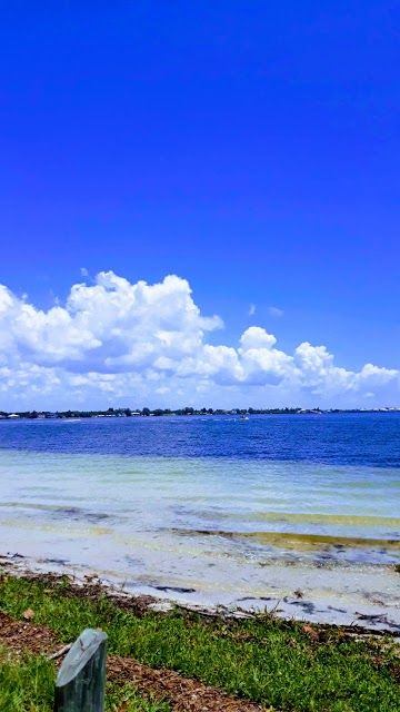 Palma Sola Causeway Park