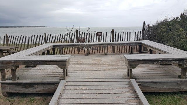 Big Talbot Island Boneyard Beach