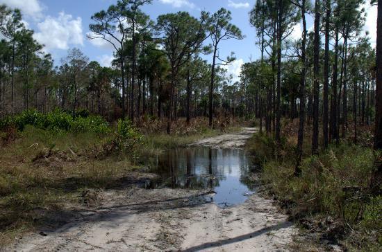 Cypress Creek Natural Area