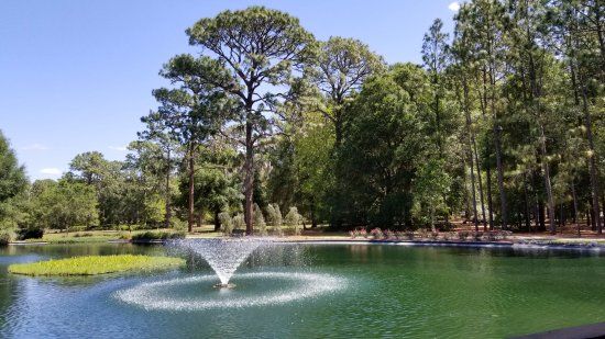 Sholom Park