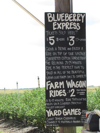 Southern Hill Farms