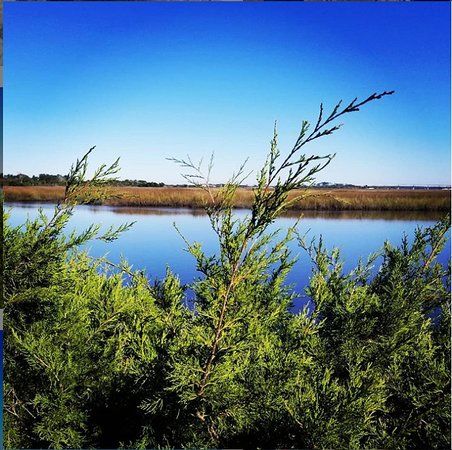 Theodore Roosevelt Area