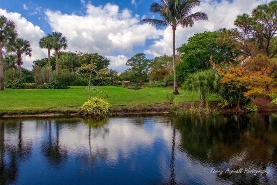 Mounts Botanical Garden