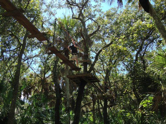 Treetop Trek
