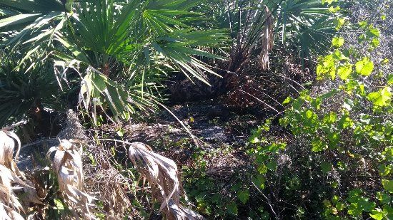 Lake Manatee State Park