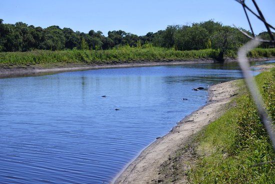 Myakka State Forest