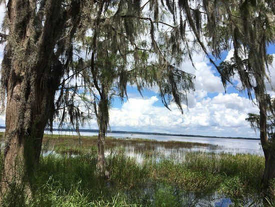 Lake Louisa State Park