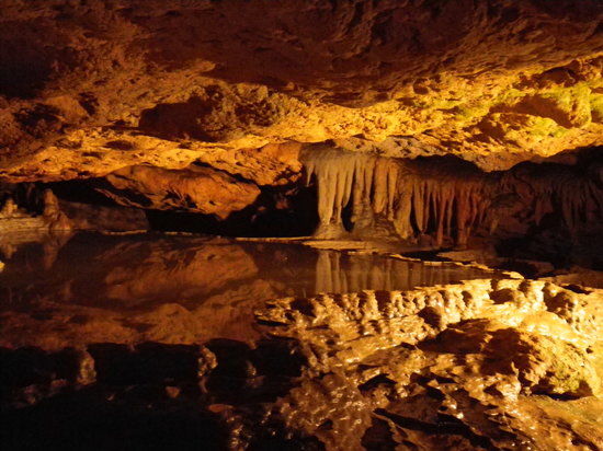 Florida Caverns State Park