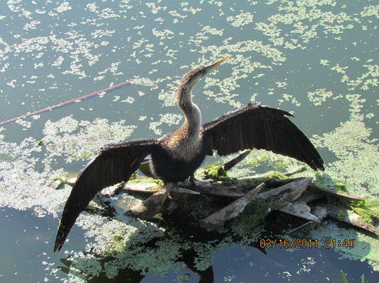 Green Cay Nature Center and Wetlands