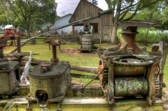 Pioneer Florida Museum & Village