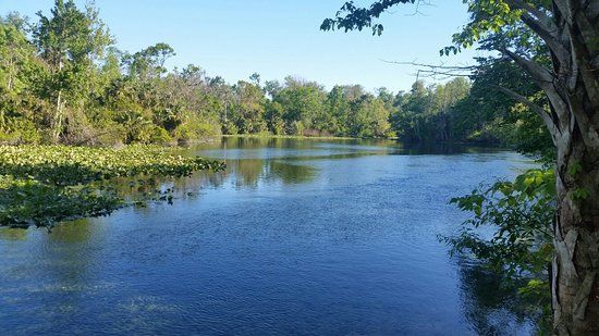 Wekiwa Springs State Park