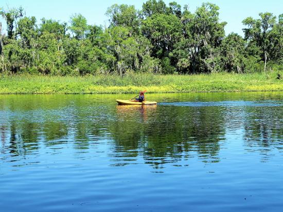 Lower Wekiva River Preserve State Park