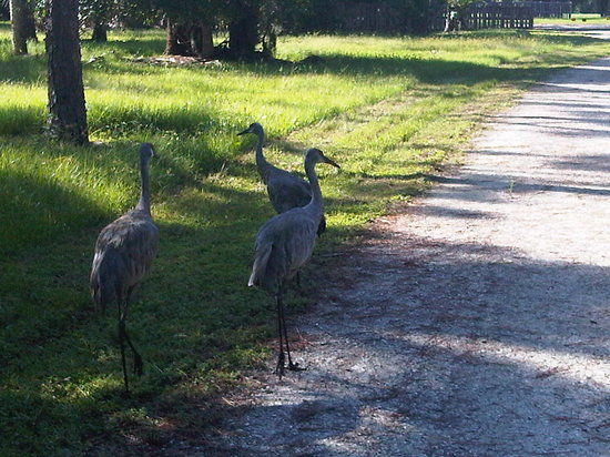Riverbend Park