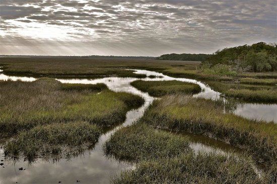 Guana Tolomato Matanzas National Estuarine Research Reserve