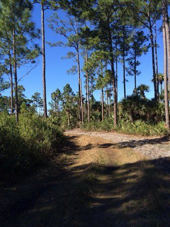 Buck Lake Conservation Area