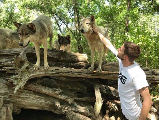 Seacrest Wolf Preserve