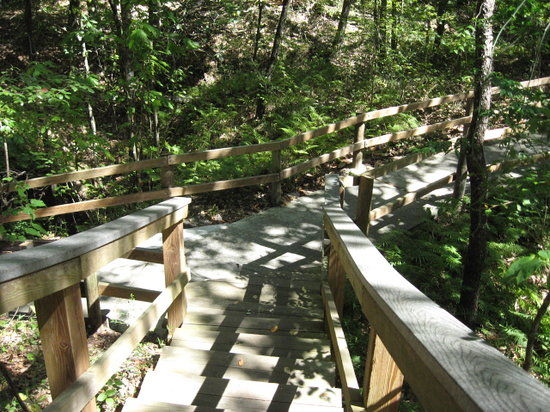 Falling Waters State Park