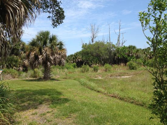 Randell Research Center