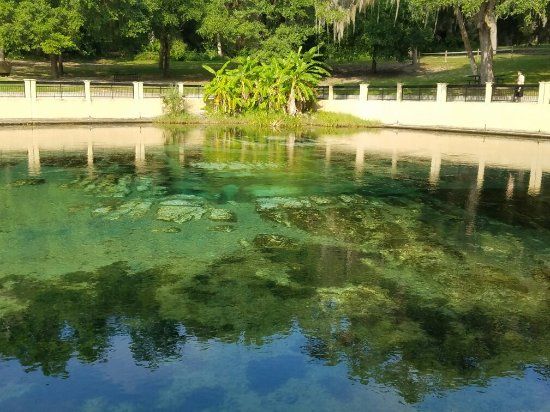 Salt Springs Recreation Area