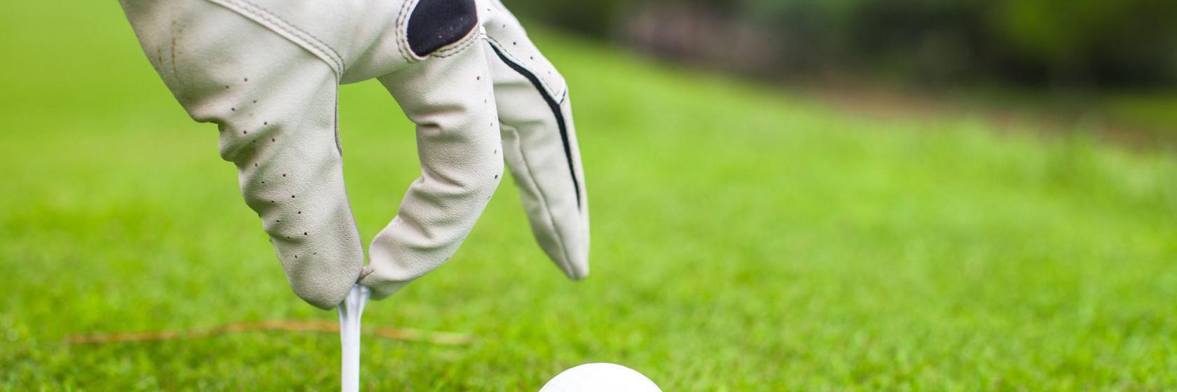 Marcus Pointe Golf Course