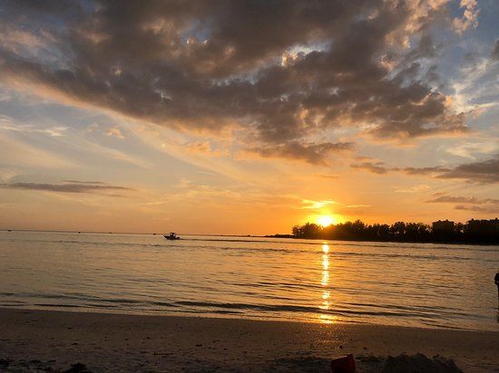 Shell Beach