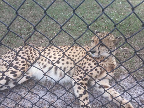 Panther Ridge Conservation Center