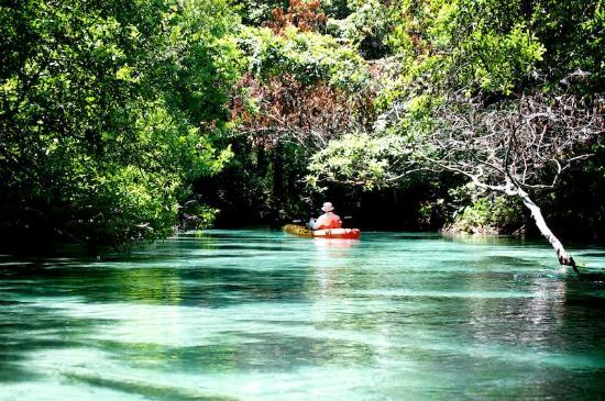 Weeki Wachee Springs State Park