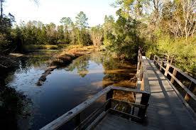 Edward Ball Nature Trail